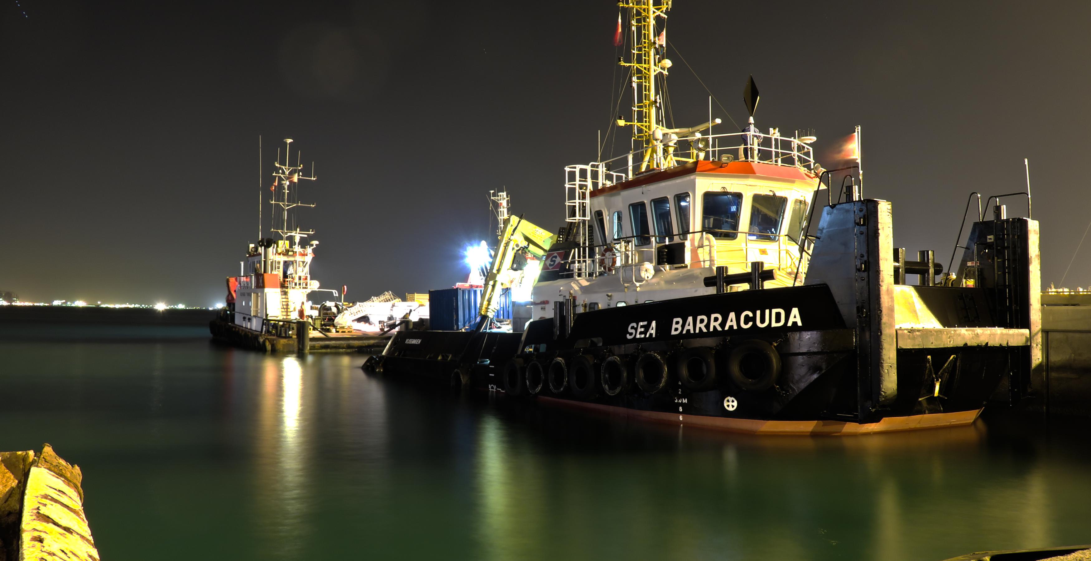 Sea Barracuda - Head.jpg