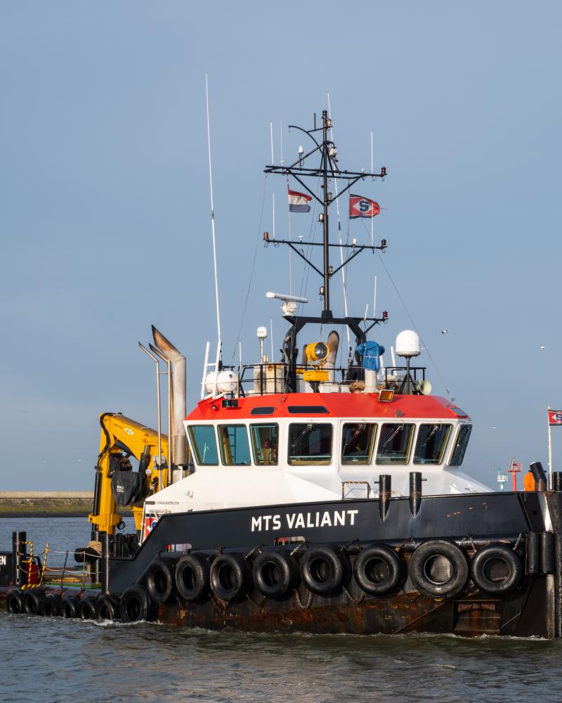 MTS Valiant